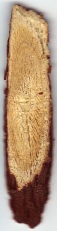 Gan Cao