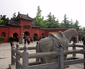 Weißws Pferd vor dem Baima-Tempel