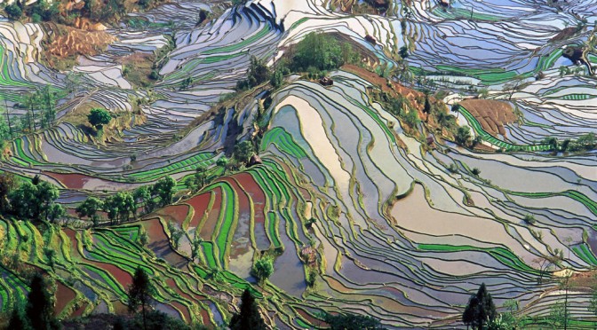 Yunnan – 云南 – „Südlich der Wolken“