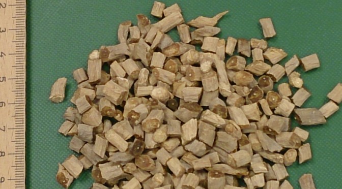 Niu Xi - Achyranthis bidentatae radix