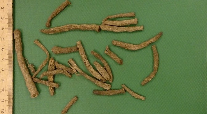 Xian Mao - Curculiginis rhizoma